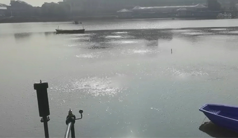 LUTUBE下载地址沉水LUTUBE视频在线观看助力杭州萧山区某河道生态治理